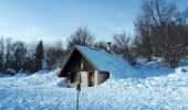 Tocht Sneeuwschoenen Lans-en-Vercors - Belvédère des Cimes et Moucherotte en raquettes - Photo 2