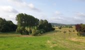 Trail Walking Tournai - Balade à Thimougies - Promenade de la Croix de la Grise - Photo 4