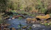 Excursión Senderismo Le Faouët - Le Faouët - Les cahots de l'Elle  - Photo 5