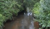 Tocht Stappen Le Teich - 26 juillet 23 - Photo 2