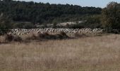 Trail Walking Caromb - caromb grand pacours - Photo 10