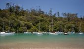 Trail On foot Hibiscus and Bays - Te Araroa alternative route - Photo 1