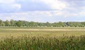 Tour Zu Fuß Wakendorf II - Rundtour durch Wakendorf Ⅱ zur Alsterniederung - Photo 3