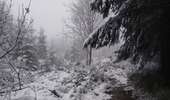 Tour Wandern Jalhay - Solwaster-Statte-Hoegne - Photo 9