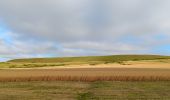 Trail Walking Sangatte - sangatte - cap blanc nez via les terres, retour par les falaise - Photo 4