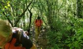 Trail Walking Montauroux - Les gorges de la Siagne et les chênes pluricentenaires - Photo 13