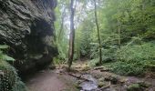 Tocht Stappen Vresse-sur-Semois - rando laforêt 23-08-2024 - Photo 2