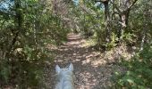 Trail Horseback riding Revest-du-Bion - Provence 2025 J5 - Photo 7