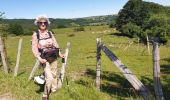 Tour Wandern Nasbinals - échappées vertes. nasbinals - Photo 4