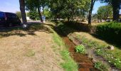 Tour Zu Fuß Kleinheubach - Rundwanderweg Kleinheubach Galgen 3: Steingemürbweg - Photo 1