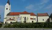 Tour Zu Fuß Gemeinde Göttlesbrunn-Arbesthal - Via Vinum (Rundwanderweg Göttlesbrunn - Arbesthal) - Photo 5