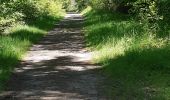 Trail Walking Pontgibaud - LA CHEIRE DE PONTGIBAUD - Photo 16