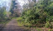 Randonnée Marche Liège - montée bois de St Jacques . traversée par sart aux fraises . descente ruisseau de kinkempois - Photo 5