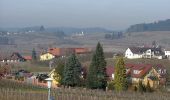 Tocht Te voet Wasserburg (Bodensee) - Nordic-Walking Bayerischer Bodensee Bodolz R13 : Enzisweiler Runde - Photo 10