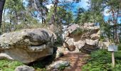 Tocht Stappen Fontainebleau - Fontainebleau sentier Denecourt 9 Est - Photo 17