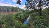 Tocht Stappen Florenville - rando chassepierre 12-07-2023 - Photo 12