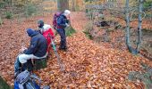 Trail Walking Spa - RS Spa 2024_11_17 - Photo 7