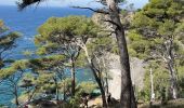 Excursión Senderismo Six-Fours-les-Plages - Sentier du littoral  - Photo 1