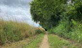 Randonnée Marche Holsbeek - S-GR Hageland: Kortrijk-Dutsel - Leuven - Photo 4