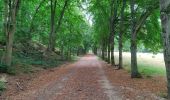 Tour Wandern Meudon - De Meudon à Igny via foret de Verrrières - Photo 3