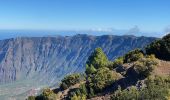 Excursión Senderismo El Pinar de El Hierro - Hoya del Morcillo - Pico Malpaso (El Hierro) - Photo 9
