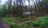 Randonnée V.T.T. Floreffe - VTT de Floreffe au lac de Bambois - Photo 4