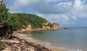 Trail Walking La Trinité - boucle pointe rouge - anse spourtoune - Photo 10