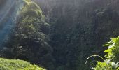 Trail Walking Le Morne-Rouge - Domaine de la vallée via Hbt Pecoul - Photo 12