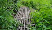 Percorso Equitazione Walcourt - Mertenne/bois de la Baronne/Rognée - Photo 5