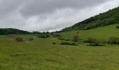 Trail Walking Saint-Martin-du-Mont - Saint Martin du mont - Photo 1