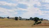 Trail Walking Thimister-Clermont - Along the Berwinne towards Val Dieu - Tourist ballad - Photo 15