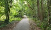 Tocht Elektrische fiets Ronse - Renaix- La Houppe par Ellezelles - Photo 1