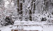 Tour Wandern Büllingen - La vallée perdue - Rocherath  - Photo 6