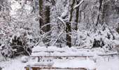 Tocht Stappen Büllingen - La vallée perdue - Rocherath  - Photo 6