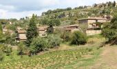 Tour Zu Fuß Greve in Chianti - IT-30 - Photo 7