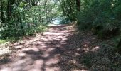Trail Walking L'Orbrie - Boucle Mervent  - Photo 7