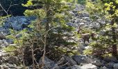 Trail Walking Brizon - BARGY: SOLAISON - CENISE PAR LE MAUVAIS PAS - ROCHERS DE LESCHAUX - Photo 10