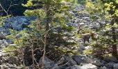 Tocht Stappen Brizon - BARGY: SOLAISON - CENISE PAR LE MAUVAIS PAS - ROCHERS DE LESCHAUX - Photo 10