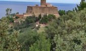 Trail Walking Collioure - boucle autour de collioure  - Photo 1