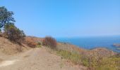 Trail Walking Banyuls-sur-Mer - cap del troc . coll de gran bau . cap réderis . retour par le chemin du littoral  - Photo 13