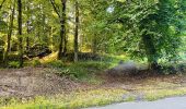 Trail Walking Largny-sur-Automne - en Forêt de Retz_90_09_2021_la Selve - Photo 11