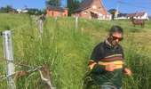 Trail Walking Montigny-le-Tilleul - Sentiers de Montigny le Tilleul - Photo 5