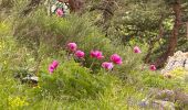 Trail  Castillon - Grammondo 3 - Photo 14