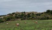 Tour Wandern Château-Arnoux-Saint-Auban - forcalquier - Photo 1