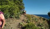 Randonnée Marche Banyuls-sur-Mer - Banyuls Cerbère  - Photo 4