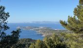 Tour Wandern La Seyne-sur-Mer - Notre Dame du Mai - Cap Sicié - Photo 2