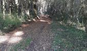 Excursión Senderismo Bunzac - BUNZAC 16110 ..départ de Puy cocu > combebrune > les Denis > le château des deffends - Photo 6