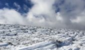 Randonnée Raquettes à neige Volvent - Servelle  de Brette - Photo 3