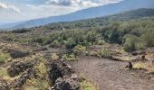 Percorso A piedi Zafferana Etnea - Sentiero delle Ginestre tappa 2 - Photo 8