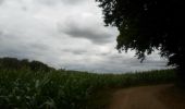 Tour Wandern Elbeuf-sur-Andelle - 20220823-Elbeuf sur Andelle  - Photo 14